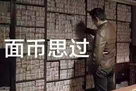浙江温州哪里催收多？解读当地的催收热点与趋势